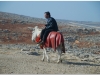 20101112-syria-1-20