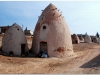 20101113-syria-1-5