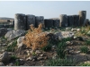 20101113-syria-4-apamea-35
