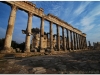 20101113-syria-4-apamea-55