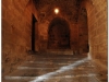 20101114-syria-aleppo-20