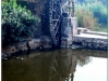 20101115-syria-1-hama-14