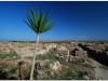 20101117-syria-latakia-ugarit-49