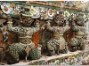 20081116-tajlandia-bangkok-3-wat-arun-9