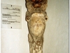tunezja-20010507-tunis-kartagina-18