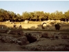 tunezja-20010507-tunis-kartagina