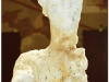 tunezja-20010508-tunis-bardo-museum-4kdr