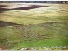 tunezja-20010510-simitthus-10