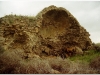 tunezja-20010510-simitthus-25