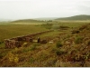 tunezja-20010510-simitthus-34
