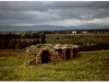 tunezja-20010510-simitthus-53