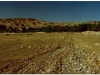 tunezja-20010512-tamerza-2