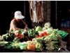 20060727-lhasa-yokhang-72