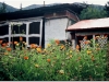 20060728-basum-tso-35