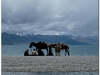 20060801-nam-tso-47