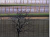 20060420-siek1