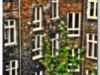 20090531-okna-na-podworze