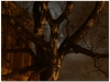20110325-oblubieniec