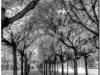 20111102-cm-polnocny