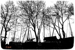 20200308-2-Rust-NS-See-58BW-rmk