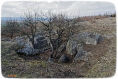 20200308-3-St-16
