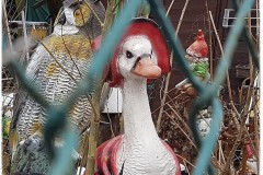 20180307_085651kdr