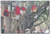 wietnam-hanoi-3-9.jpg