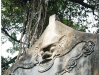 20081204-wietnam-hanoi-33