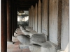 20081204-wietnam-hanoi-48