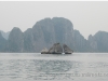 20081206-wietnam-hanoi-ha-long-32