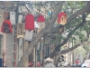 20081207-wietnam-hanoi-19