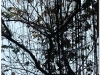 20081208-wietnam-hanoi-25