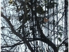 20081208-wietnam-hanoi-26