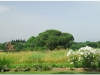 italia20080529-appia-31