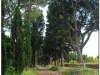 italia20080529-appia-47