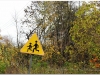aaa-pierwowzor-polski-20081019
