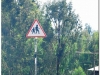 etiopia-20090916-bahar-dar-gondar-7