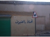 syria-20101113